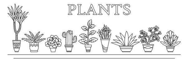 Vector illustratie bloemen en planten, sappige in vazen in lijnstijl. — Stockvector