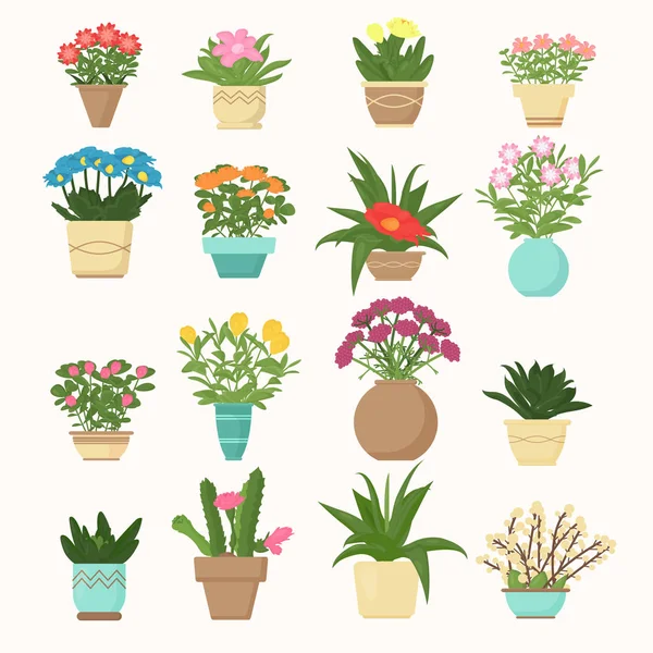 Colorido conjunto de ilustración vectorial de flores y plantas, suculentas en jarrones en estilo plano de dibujos animados . — Archivo Imágenes Vectoriales