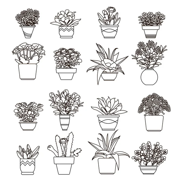 Ilustração vetorial flores e plantas, suculentas em vasos em estilo linha . —  Vetores de Stock