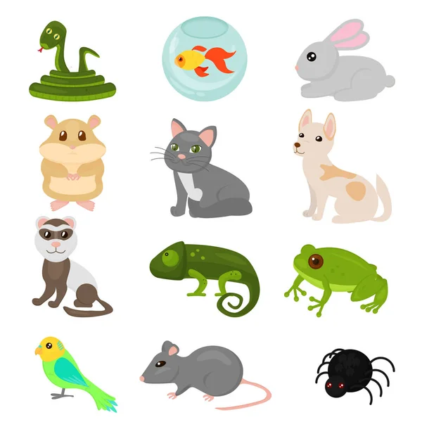 Vector illustration of home pets set isolated on white background, cat dog parrot goldfish, amphibian,hamster, insects, bird in cartoon flat style. — Stock Vector