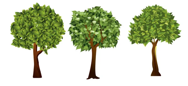 Vektorillustration von Gartenbäumen mit grünen Blättern im Cartoon-Stil. — Stockvektor