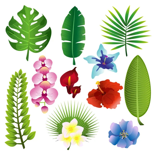 Vector illustration set of colorful tropical plants, leaves and flowerf in flat design — Stock Vector