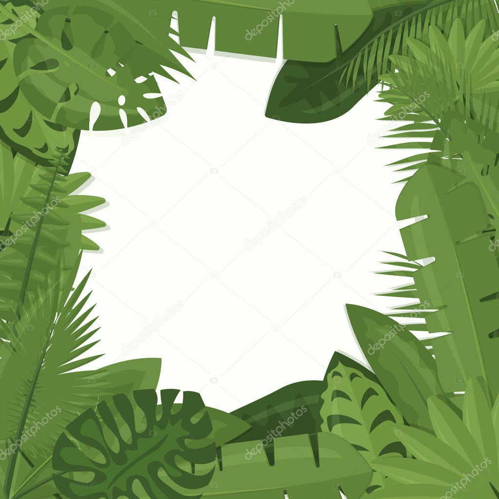 Vector illustration of tropical green leaves of palm, jungle leaves, philodendron framing white background in cartoon flat style.