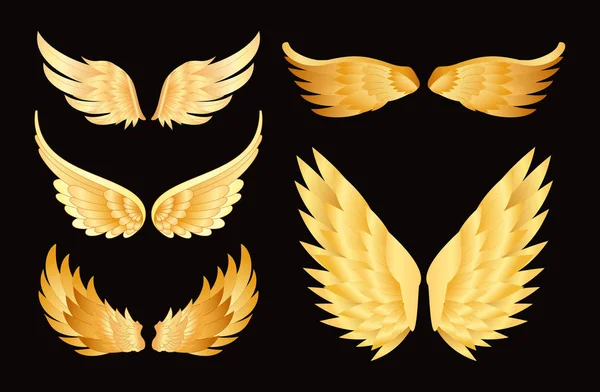Vector illustration set of different golden wings on black background. — Stock Vector
