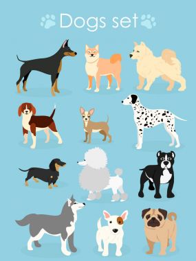 Vektör çizim, komik safkan köpekler, açık mavi arka planı üzerinde bir dizi.