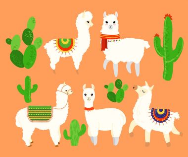 Komik ve sevimli lamas ve alpaka, kaktüs öğeleri düz çizgi film tarzı turuncu arka plan üzerinde renkli resimde kümesi.