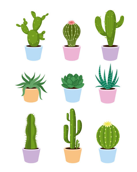 Vector illustration set of succulents and cactus with flowers on white background in flat style.