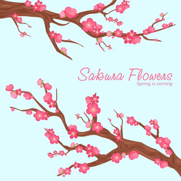Vector illustration of pink beautiful sakura branches with flowers or cherry blossom background in japanese style on blue background. — Stock Vector