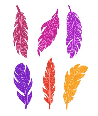 Vektör çizim renkli siluet tüyleri beyaz zemin üzerine ayarla..