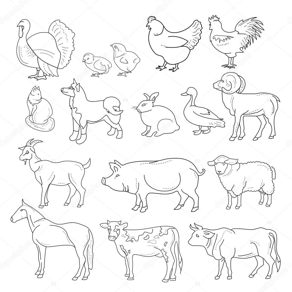 Vector illustration of outline figures of farm animals. Animals in line style on white background
