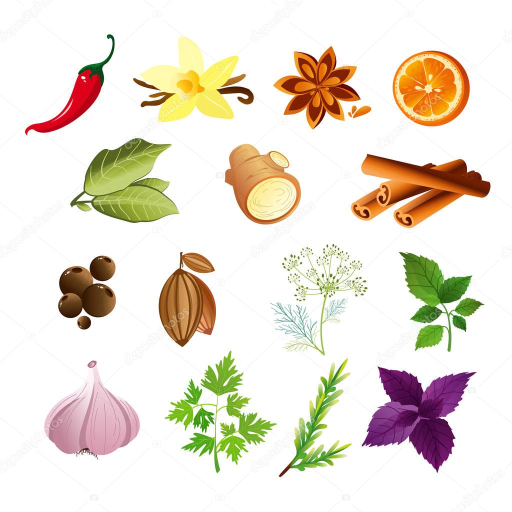 Vector illustration of set of herbs and spices in flat style.