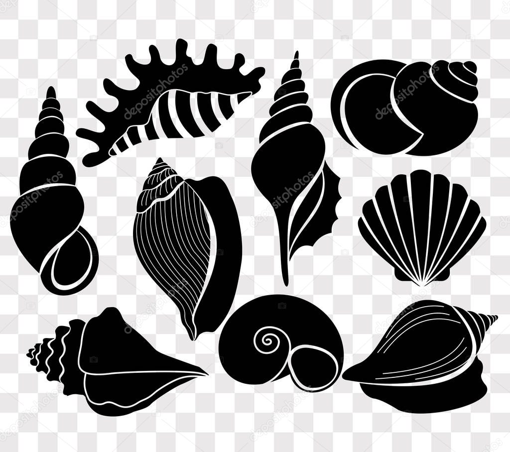 Vector illustration set of beautiful sea shells black silhouettes isolated on transparent background.