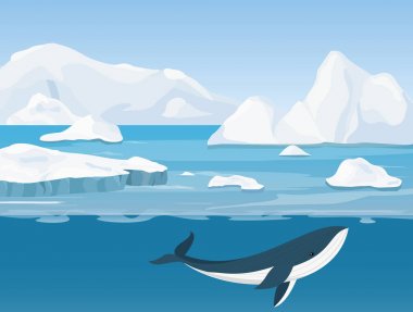 Kuzey ve Antarktika yaşamın güzel kutup manzara vektör Illustration. Okyanus ve sualtı dünyasını icebergs ile balina düz çizgi film tarzı.