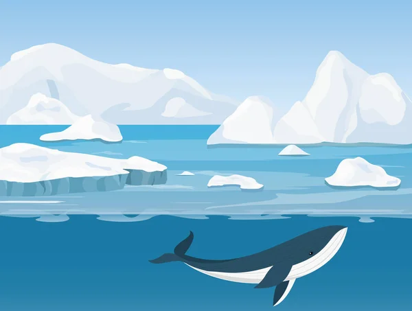 Illustrazione vettoriale del bellissimo paesaggio artico della vita settentrionale e antartica. Iceberg nell'oceano e nel mondo sottomarino con balena in stile fumetto piatto . — Vettoriale Stock