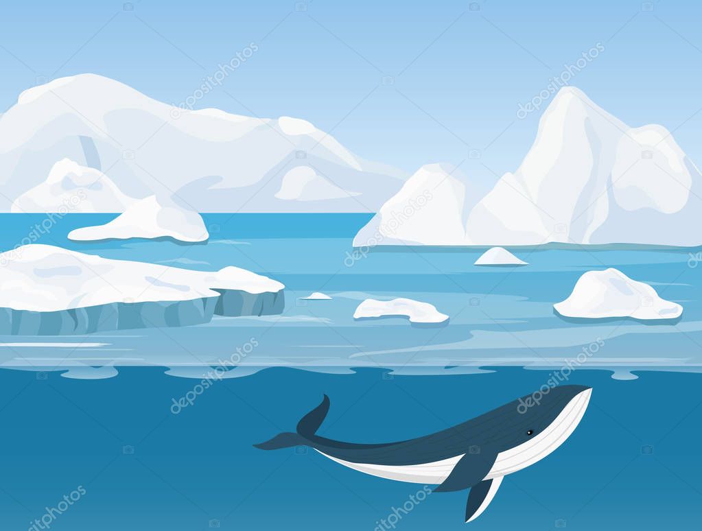 Vector illustration of beautiful arctic landscape of northern and Antarctic life. Icebergs in ocean and underwater world with whale in flat cartoon style.