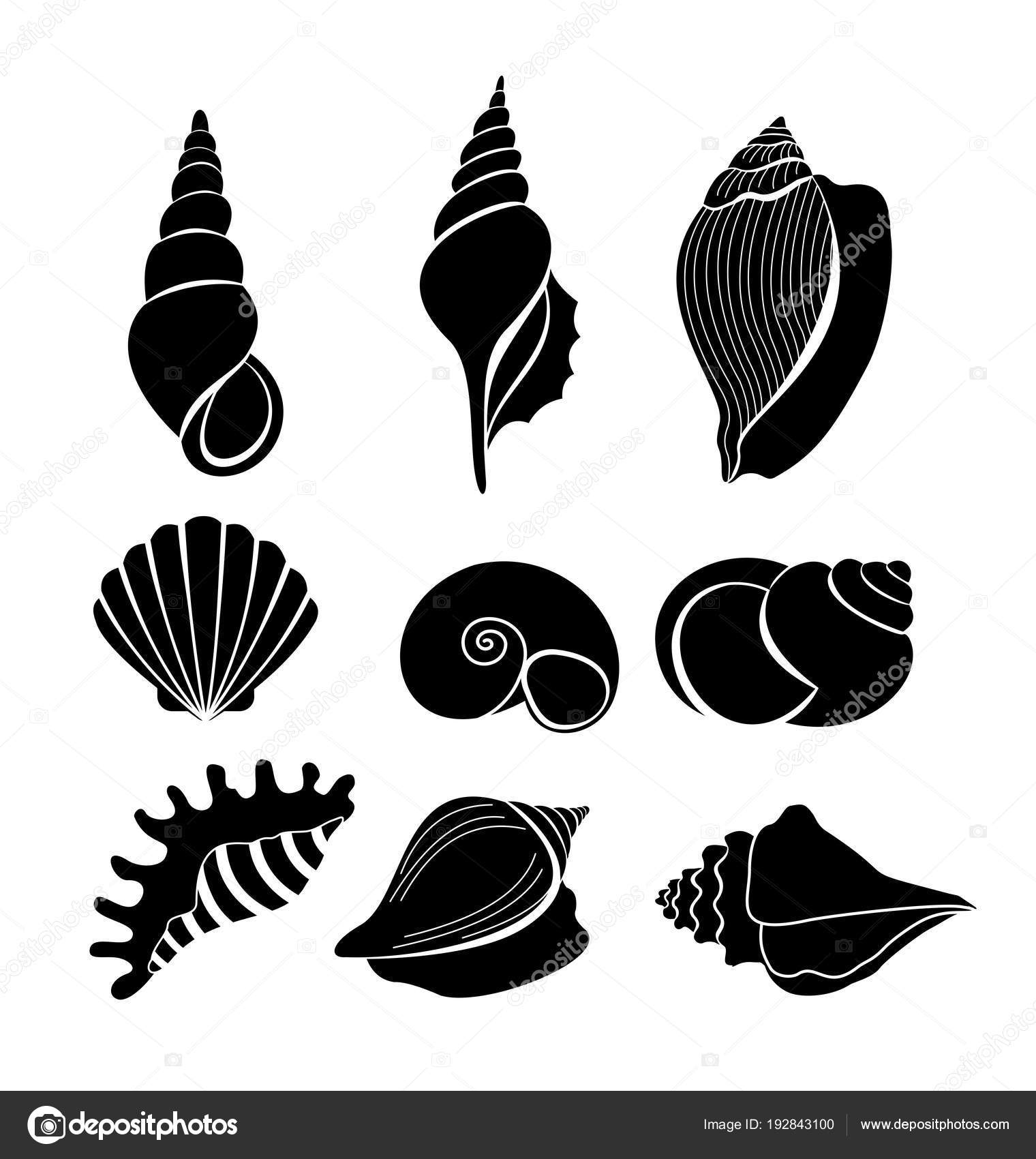 すべての動物の画像 ベスト貝殻 イラスト すべての動物の画像 ベスト貝殻 イラスト