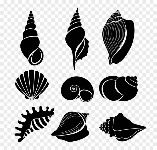 Vektor Illustration Set von Muscheln Silhouetten isoliert auf transparentem Hintergrund. — Stockvektor