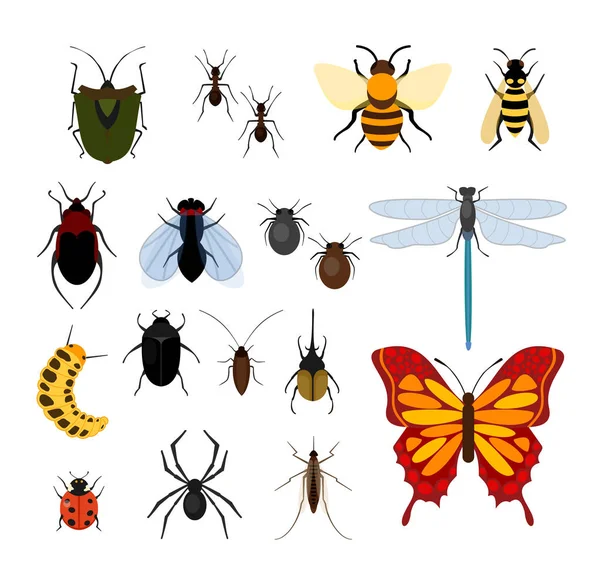 Vector illustration set of different types of insects in flat style design icons. Bee, fly and dragonflies, spiders and ticks, mosquitoes and others popular insects collection on white background. — Stock Vector