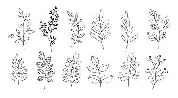 Vector illustration set of branches, leaves, twigs, garden grasses in line style for floral patterns, bouquets and compositions in white background. Elements for greeting cards. — Stock Vector