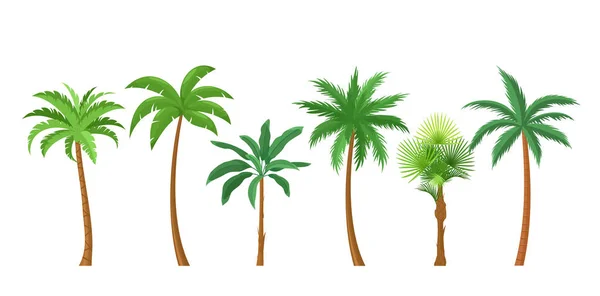 Palmiye ağaçları düz renk vektörü çizimleri ayarlandı — Stok Vektör