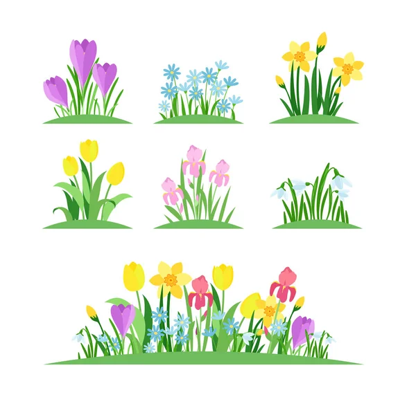 Spring flowers flat vector illustrations set. Garden flowerbeds and green grass pack on white background. Tulips, bellflowers, narcissus twigs and plant branch branches with leaves. — ストックベクタ