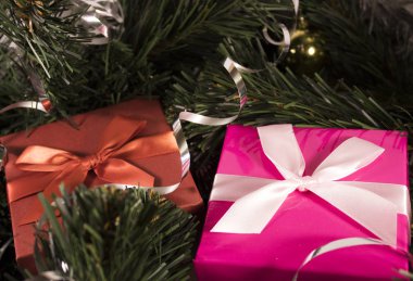 ağacın altında iki hediye