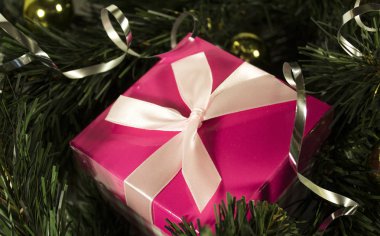 ağacın altında bir hediye