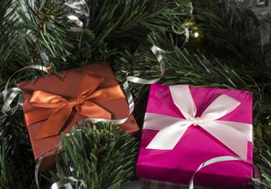 ağacın altında iki hediye