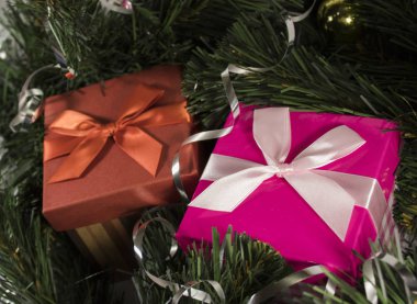 ağacın altında iki hediye