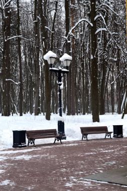 Kış parkında bankta