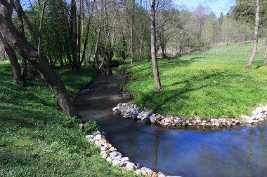Yaz ormanda akışında