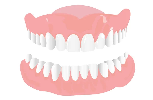 Médico dentadura postiza sonrisa mandíbulas dientes sobre fondo blanco — Vector de stock
