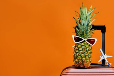 Uçak modeli, güneş gözlüklü ananas ve tekerlekli bavul.