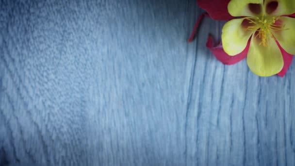 4k Matcha Чайна композиція, ляльковий знімок — стокове відео
