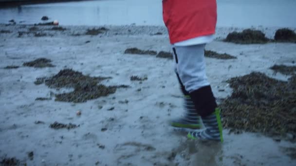 Bambino 4K che cammina nel fango con ombrello in una giornata piovosa — Video Stock