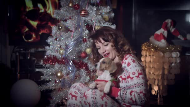 4k Рождество и Новый год женщина гладит своего щенка — стоковое видео
