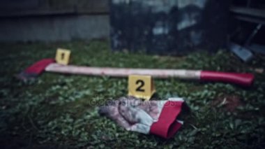 4 k olay yerinde delil kanlı eldiven ve balta ile