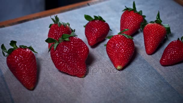 4K Cake Baker Selecting Good Strawberries — Stock Video