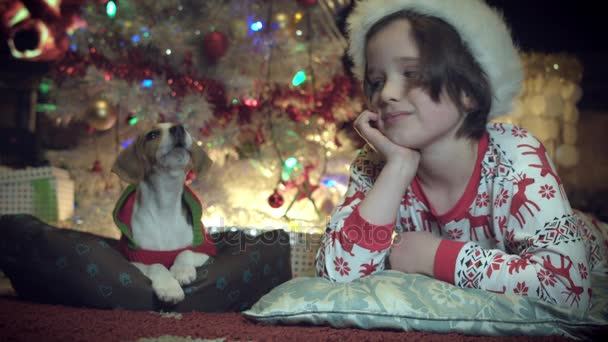 4 k Χριστούγεννα και νέο έτος διακοπές, παιδί και σκυλάκι θέτουν — Αρχείο Βίντεο