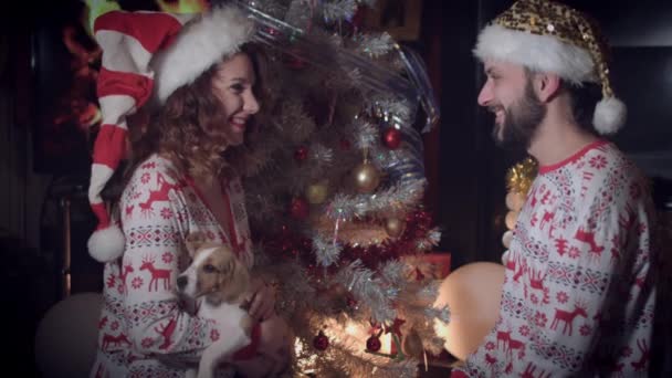 4k Navidad y Año Nuevo Pareja de vacaciones besos con cachorro — Vídeos de Stock