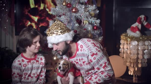 4 k のクリスマスおよび新年の休日家族の子犬と遊ぶ — ストック動画