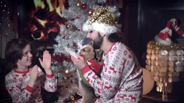 4 k のクリスマスおよび新年の休日家族の子犬と遊ぶ — ストック動画