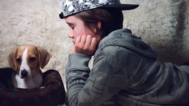 Köpek ve çocuk halı üzerinde yalan