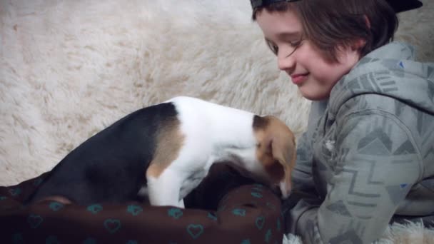 Puppy met kind plezier — Stockvideo