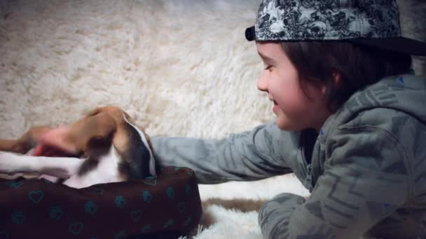 Eğlenceli olan çocuğun köpekle — Stok video