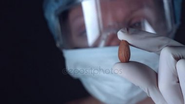 Bilim adamı inceleyerek badem