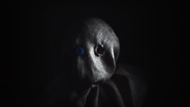 Fågelskrämma med säckväv Mask — Stockvideo