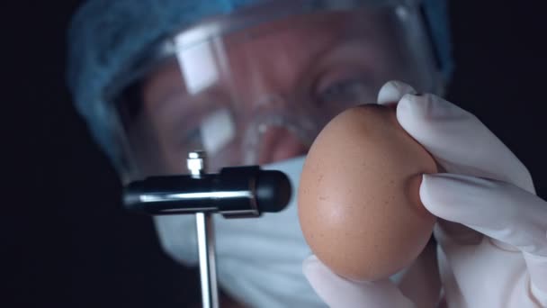 Forskare undersöker ett ägg — Stockvideo