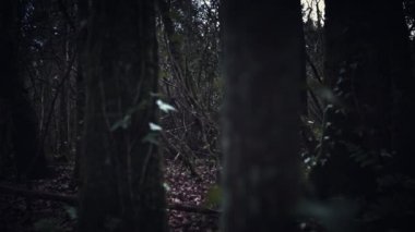 korku filmleri esinlenerek