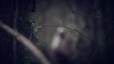 korku filmleri esinlenerek